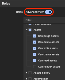 iconike-advanced-view-roles