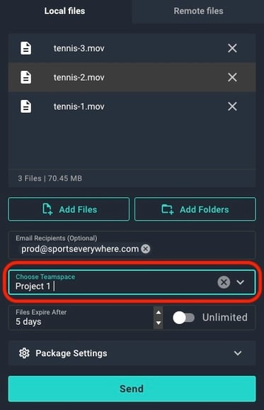 Screen capture of the MASV send card showing the Teamspace field.