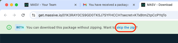 masv-skip-the-zip-banner